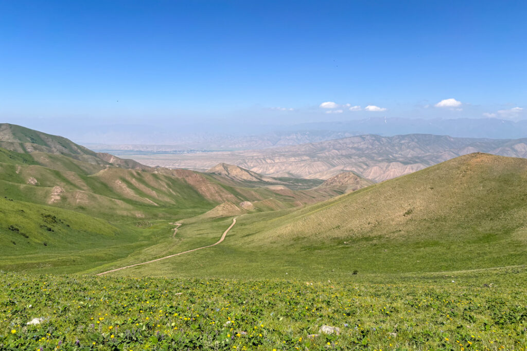 Grüne Hochgebirgslandschaft