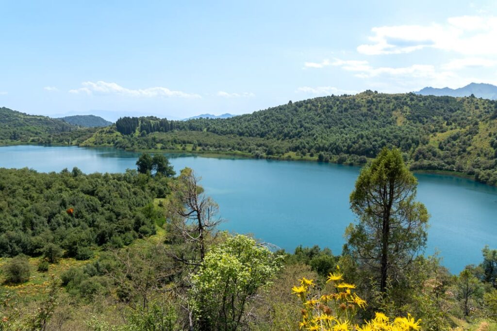 Ein blauer See umrundet von Bäumen und Sträuchern