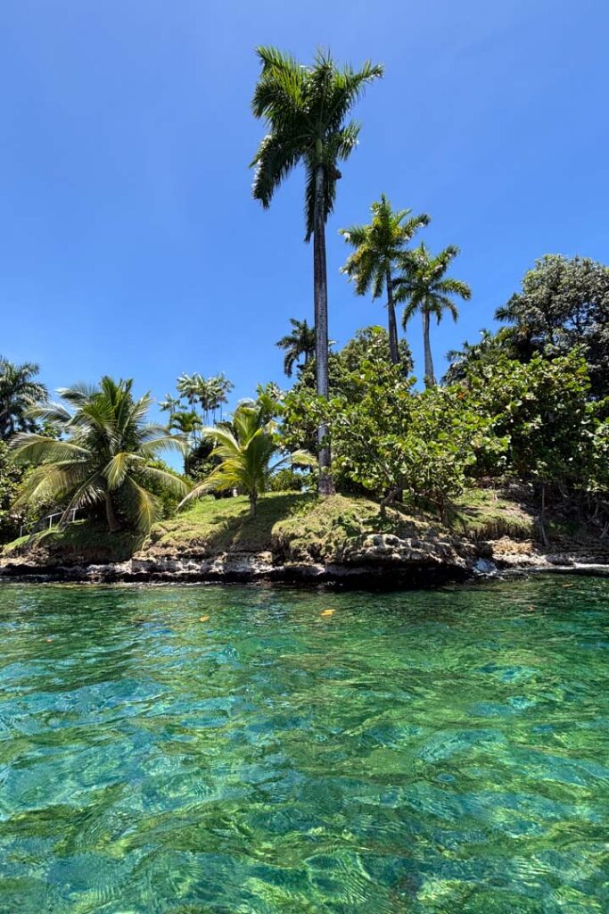 Schnorcheln in Bocas del Toro im glasklaren blauen Wasser
