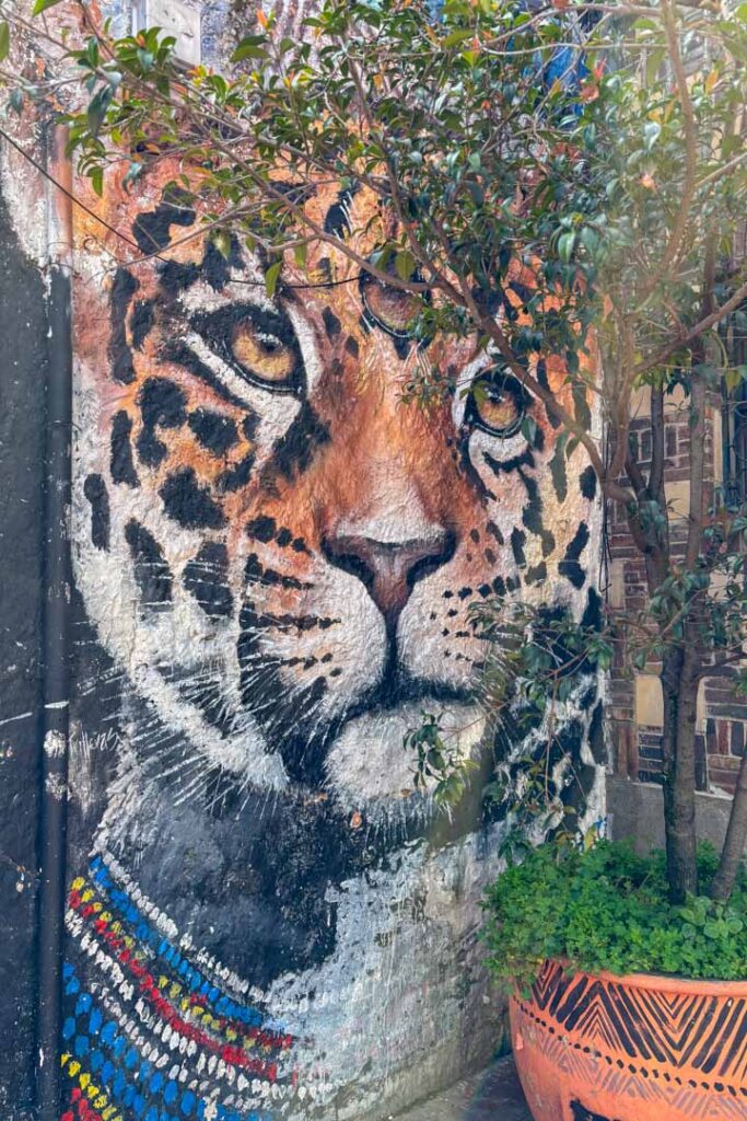 Streetart Tiger in Bogota