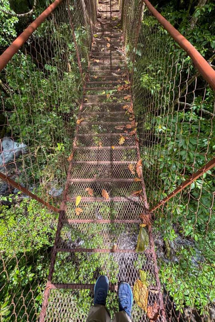 Füße auf einer Hängebrücke im Nebelwald