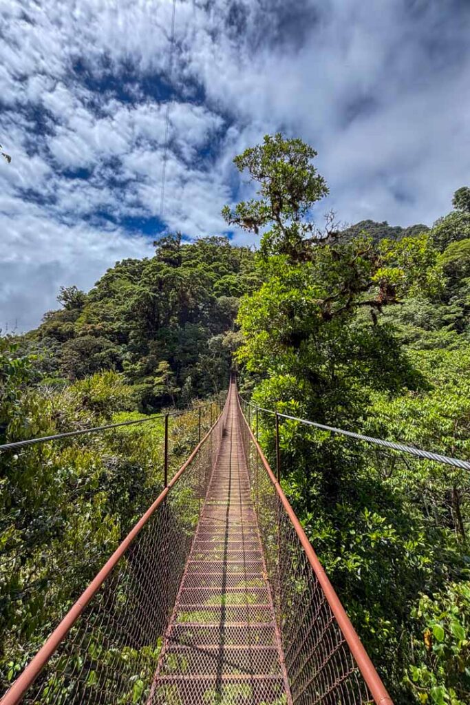 Hängebrücke in Boquete Nebelwald