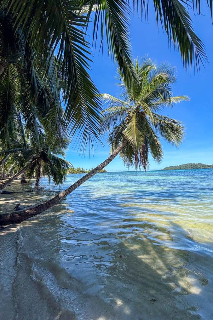 Isla Carenero