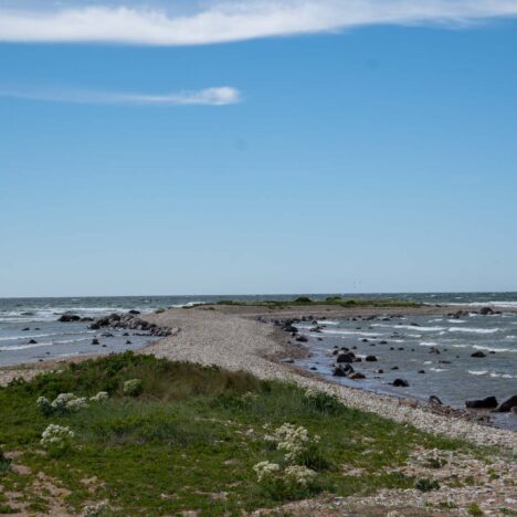 Estland Urlaub: Inselhopping zwischen Moor & Meer