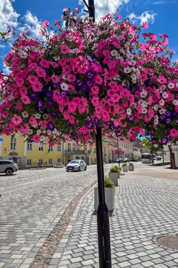 Eine üppige, kugelförmige Blumenampel voller rosa und lila Petunien an einem Straßenmast im Vordergrund einer gepflasterten europäischen Altstadtstraße