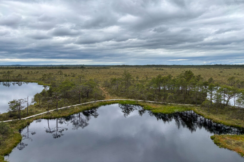 Marimetsa-Hochmoor Blick vom Aussichtspunkt auf die Mooraugen