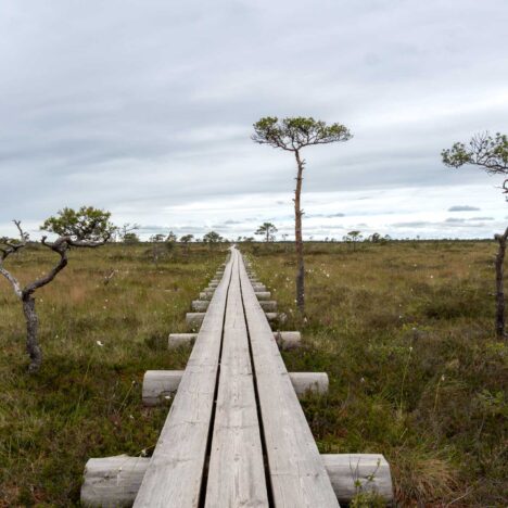 Erkunde Estlands Insel Hiiumaa zu Fuß und im Kajak