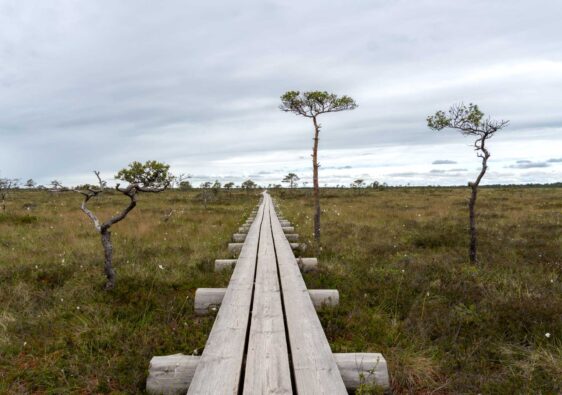 Estland Urlaub
