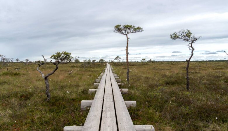 Estland Urlaub