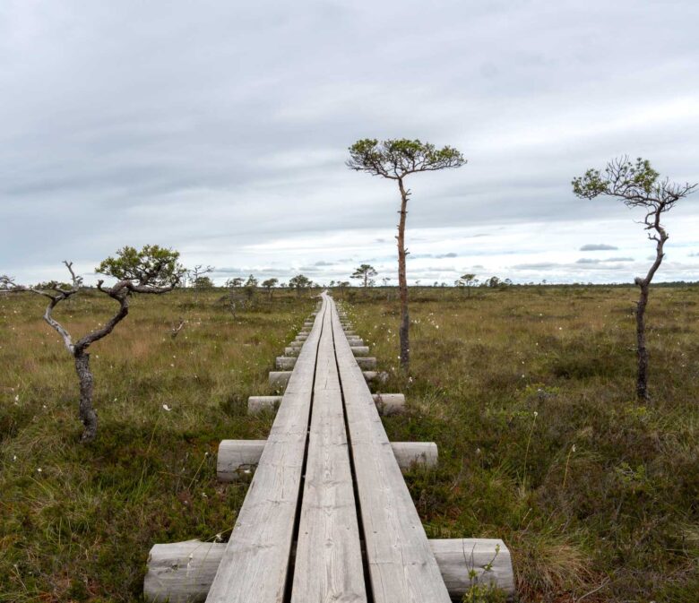 Estland Urlaub