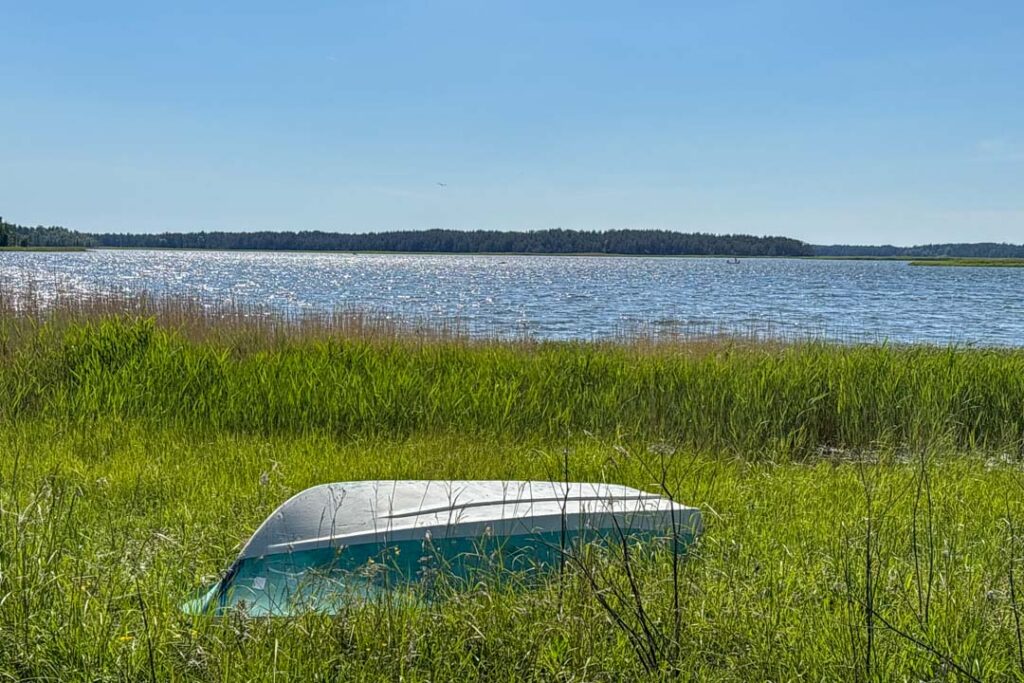 Estland Urlaub - Ein umgedrehtes, weiß-grünes Ruderboot liegt im hohen, grünen Gras am Schilfufer eines glitzernden Sees