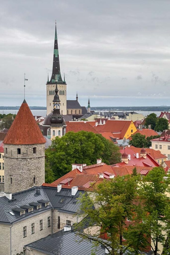 Blick über die historischen roten Dächer und Wehrtürme der Altstadt von Tallinn mit der markanten, spitzen Kirchturmsilhouette im Hintergrund