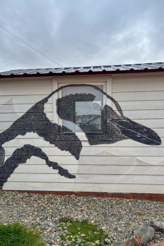 Ein großes Portrait von einem Pinguin in Ushuaia