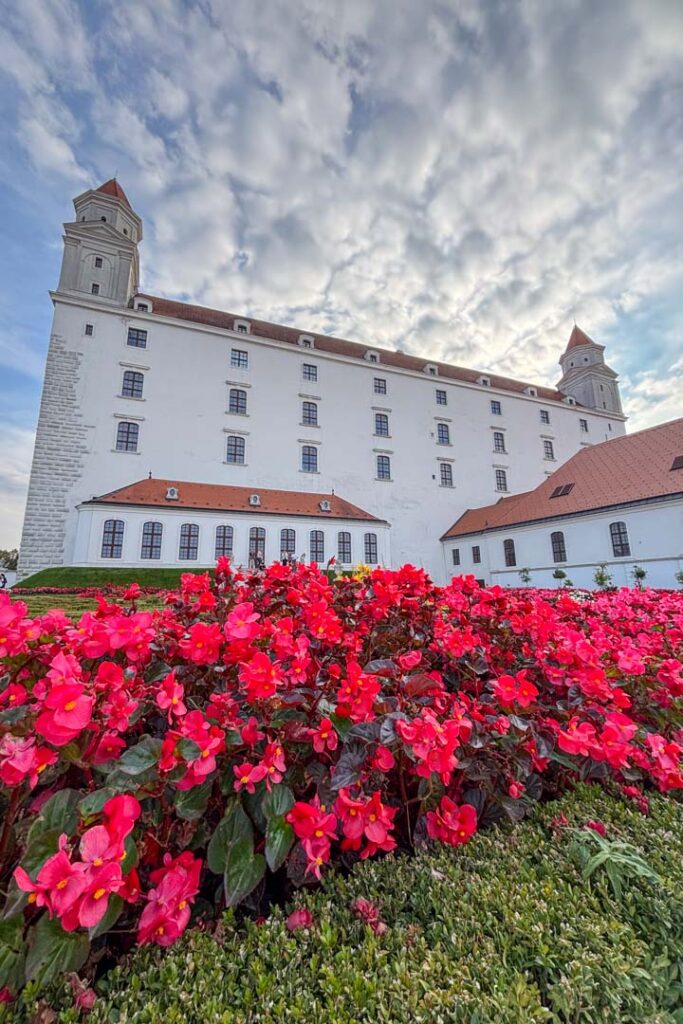 Die weiße, imposante Fassade der Burg Bratislava, fotografiert aus einer niedrigen Perspektive hinter einem prachtvollen Bett aus leuchtend roten Blumen