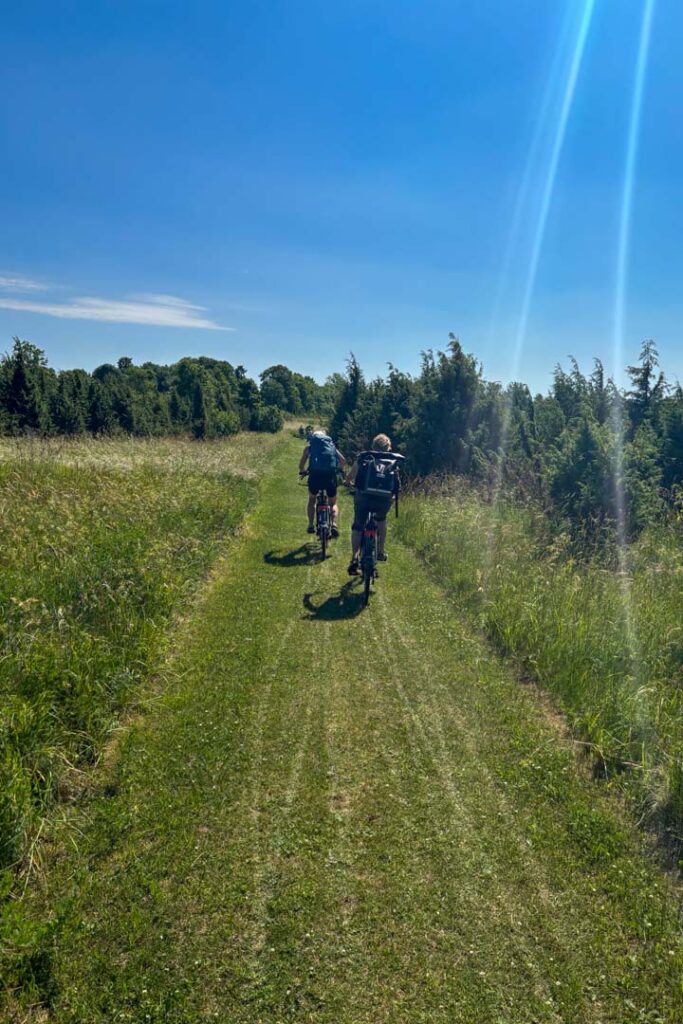 Zwei Fahrradfahrer die auf einer grünen Wiese inmitten der Natur fahren