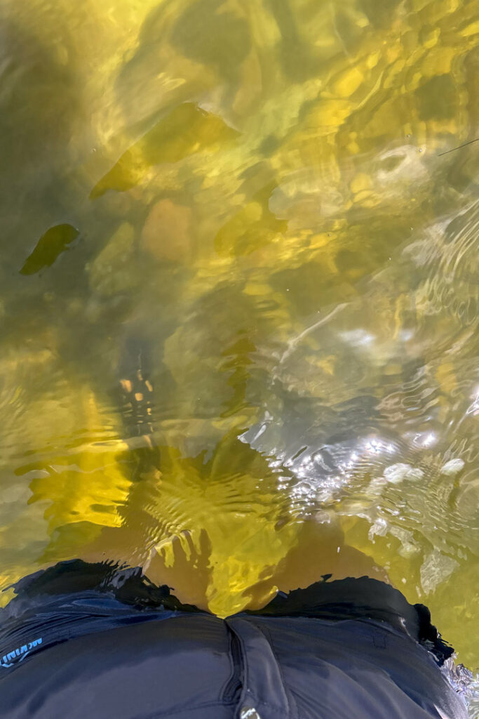 Blick auf zwei Beine die in tiefem Wasser stehen