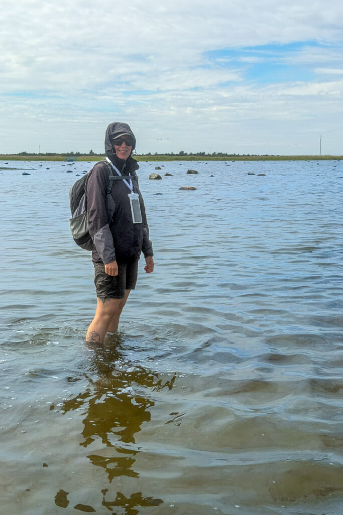 Eine Frau steht im kniehohen Wasser während der Wattwanderung von Vilsandi