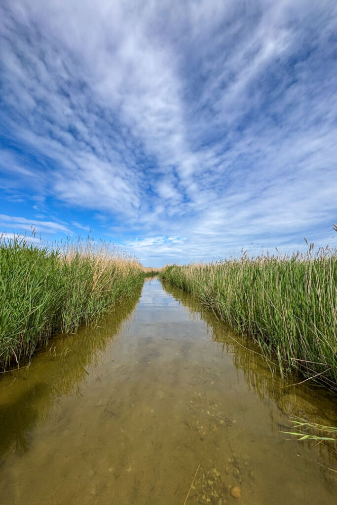 Ein schmaler Wasserweg zwischen Schilf